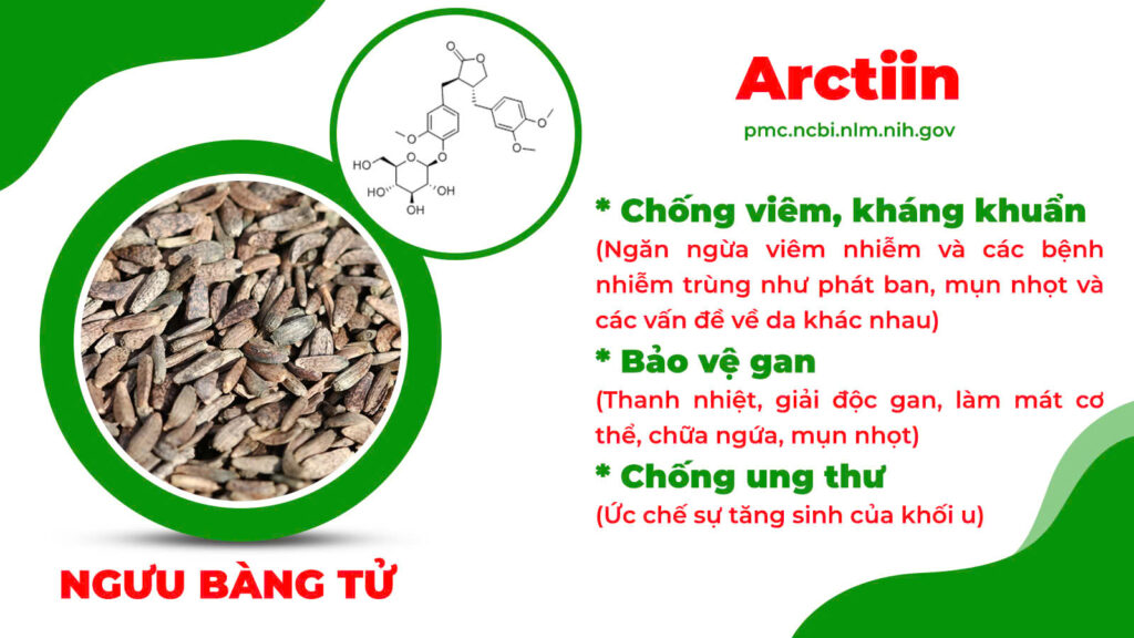Thành phần hoá học trúc diệp