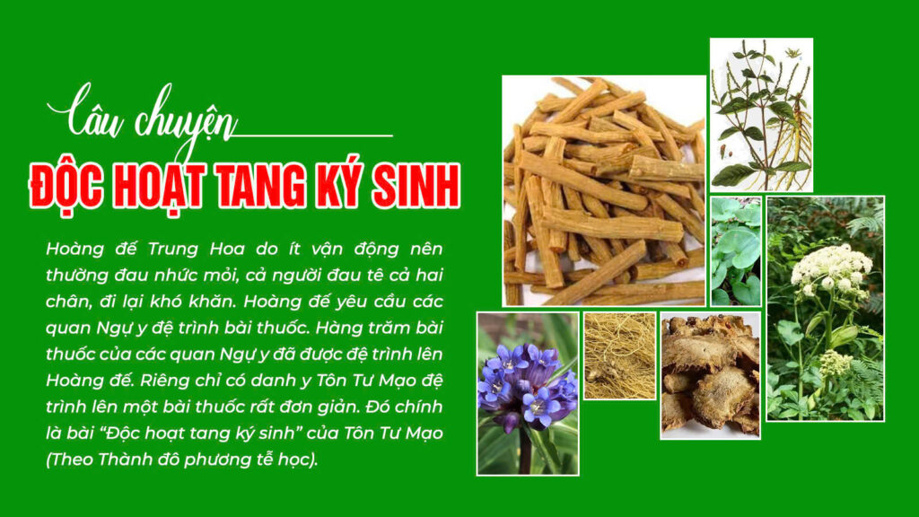 Câu chuyện dược liệu độc hoạt tang ký sinh (pqa xương khớp cốm)