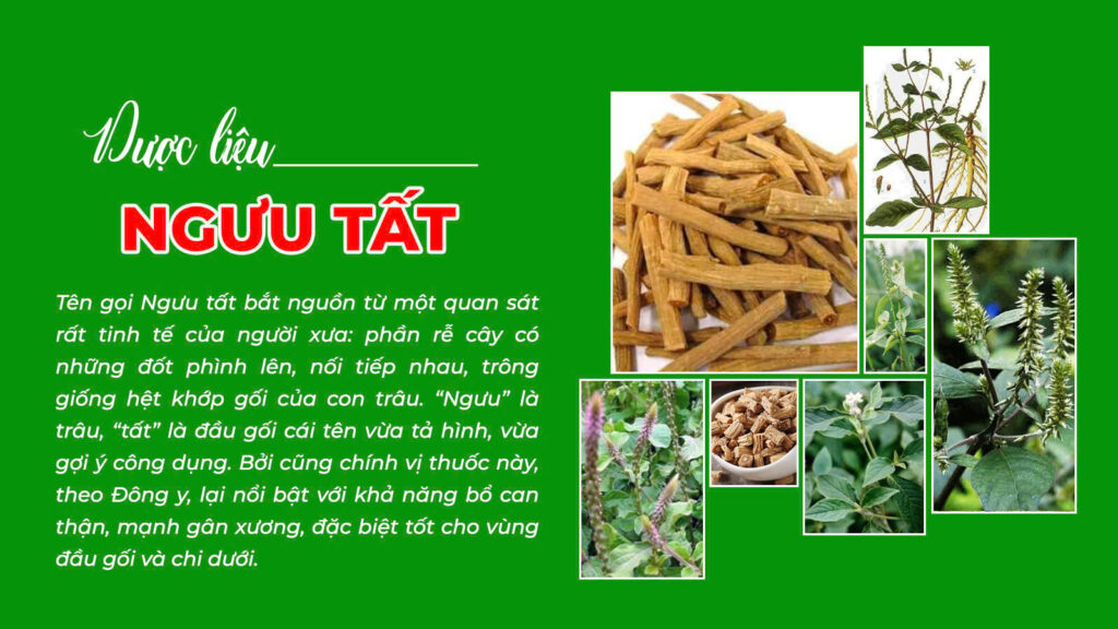 Dược phẩm PQA