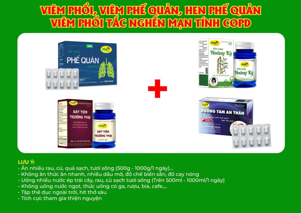 Kết hợp 4 sản phẩm phế quản cao cấp