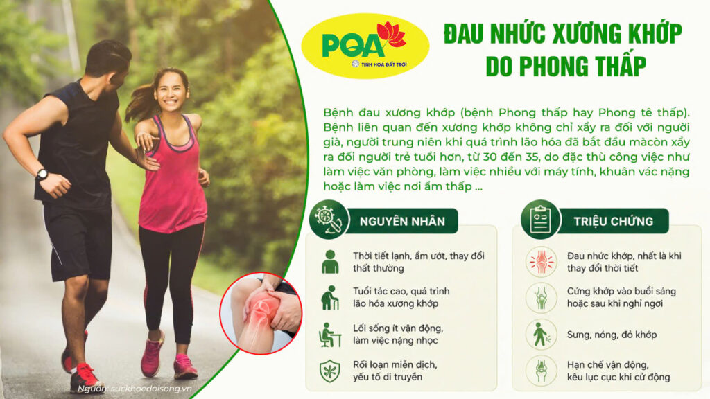 Nguyên nhân và triệu chứng đau nhức xương khớp do phong thấp (PQA Xương khớp cốm)
