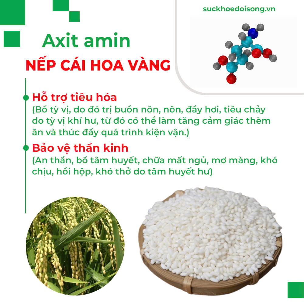 Thành phần hoá học Trà bình an 
