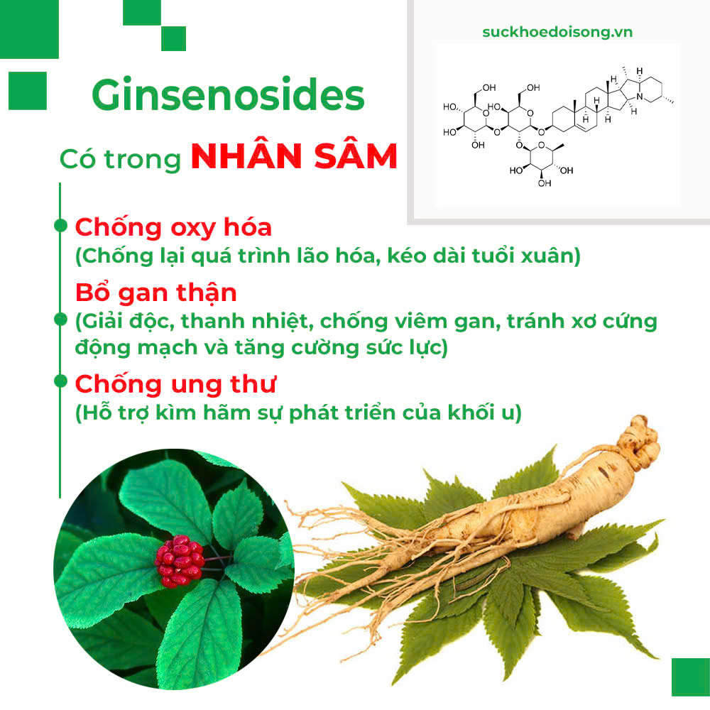 Thành phần hoá học Trà bình an 
