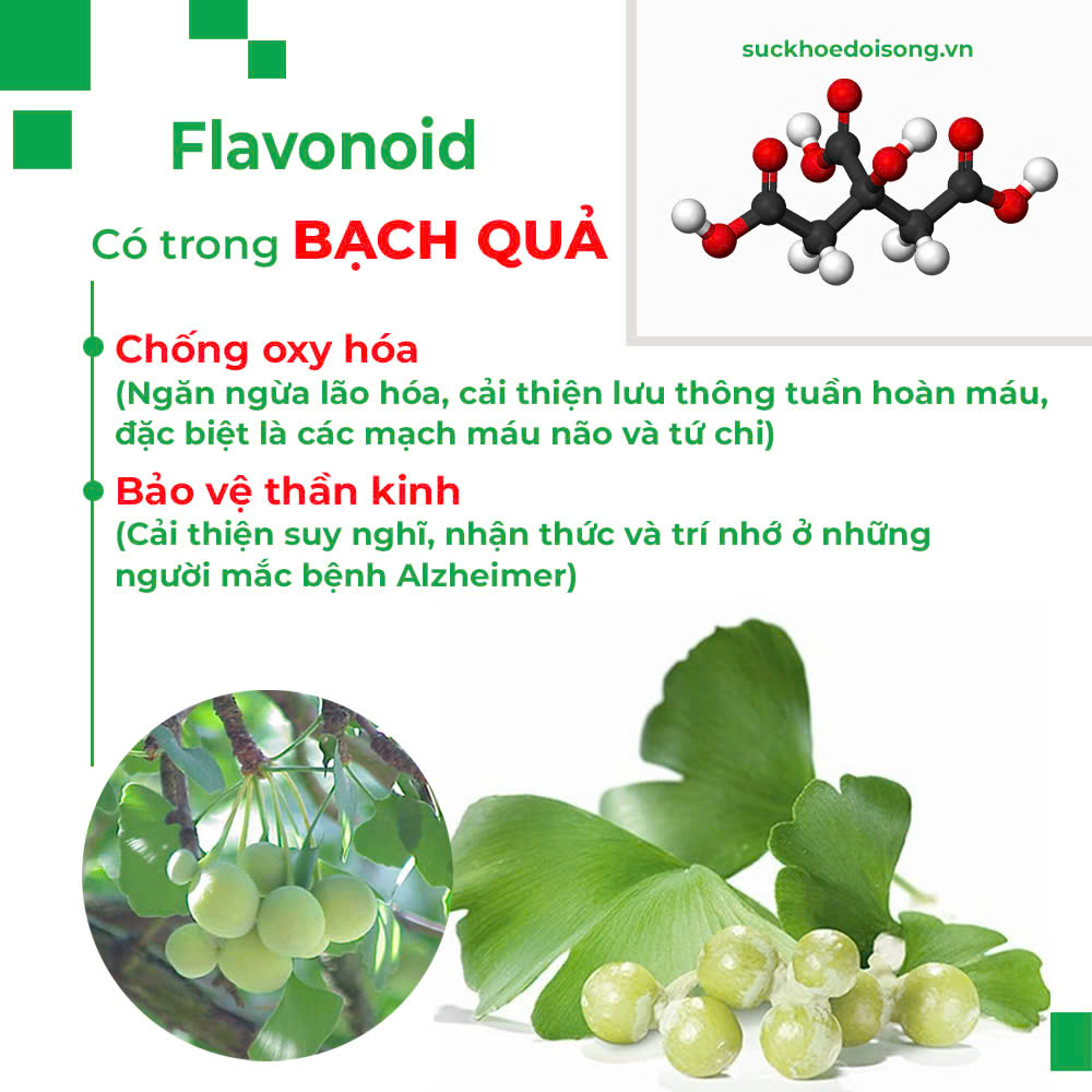 Thành phần hoá học Trà bình an 
