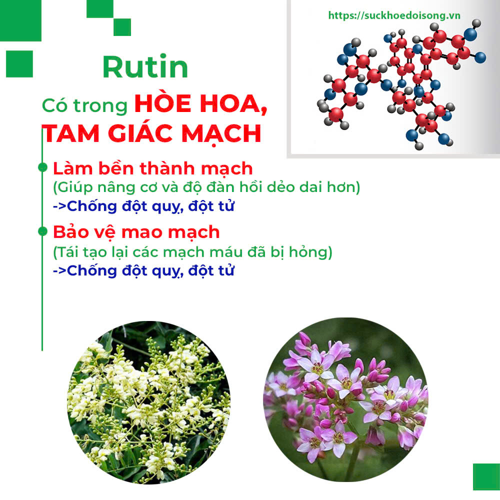 Thành phần hoá học Trà bình an 