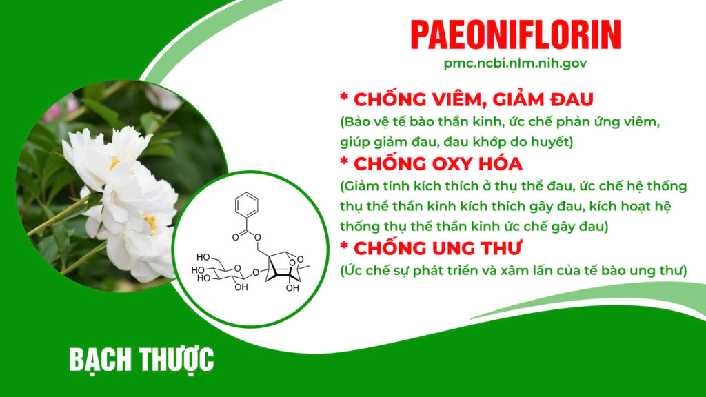 Thành phần hoá học cốm vai gáy