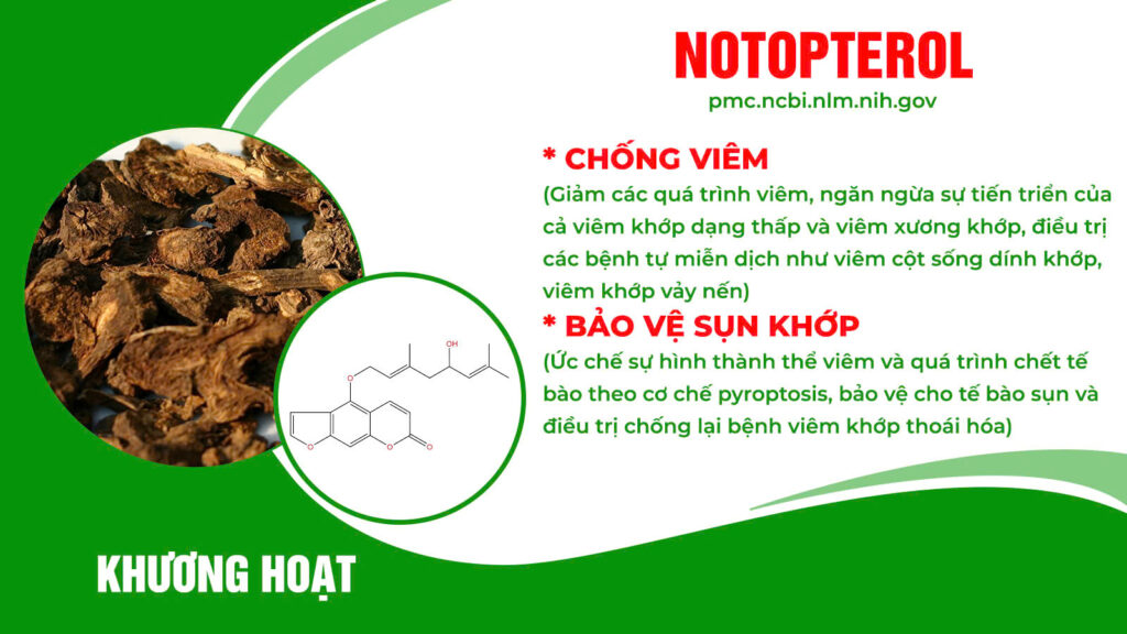 Thành phần hoá học cốm vai gáy