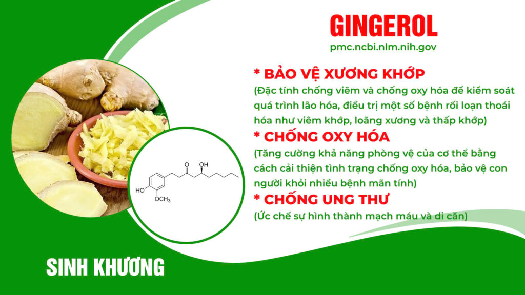 Thành phần hoá học cốm vai gáy