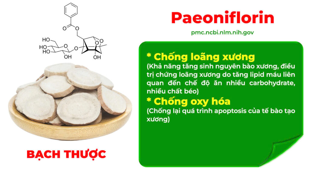 Thành phần hoá học dưỡng cốt ống 