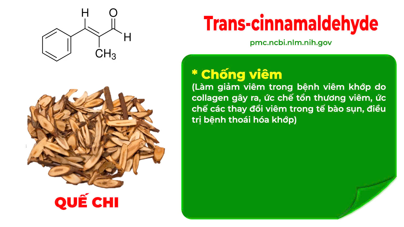 Thành phần hoá học dưỡng cốt ống 