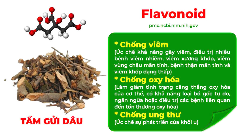 Thành phần hoá học dưỡng cốt ống 