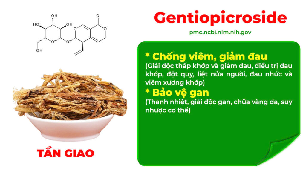 Thành phần hoá học dưỡng cốt ống 