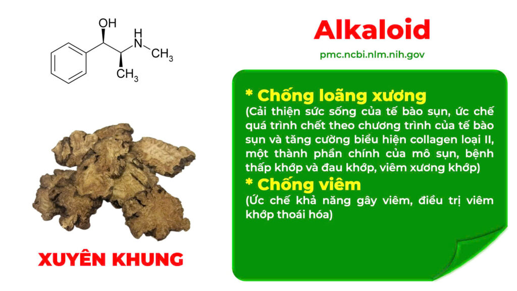 Thành phần hoá học dưỡng cốt ống 
