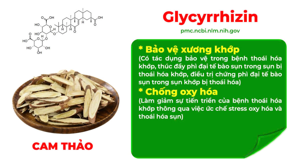 Thành phần hoá học dưỡng cốt ống 
