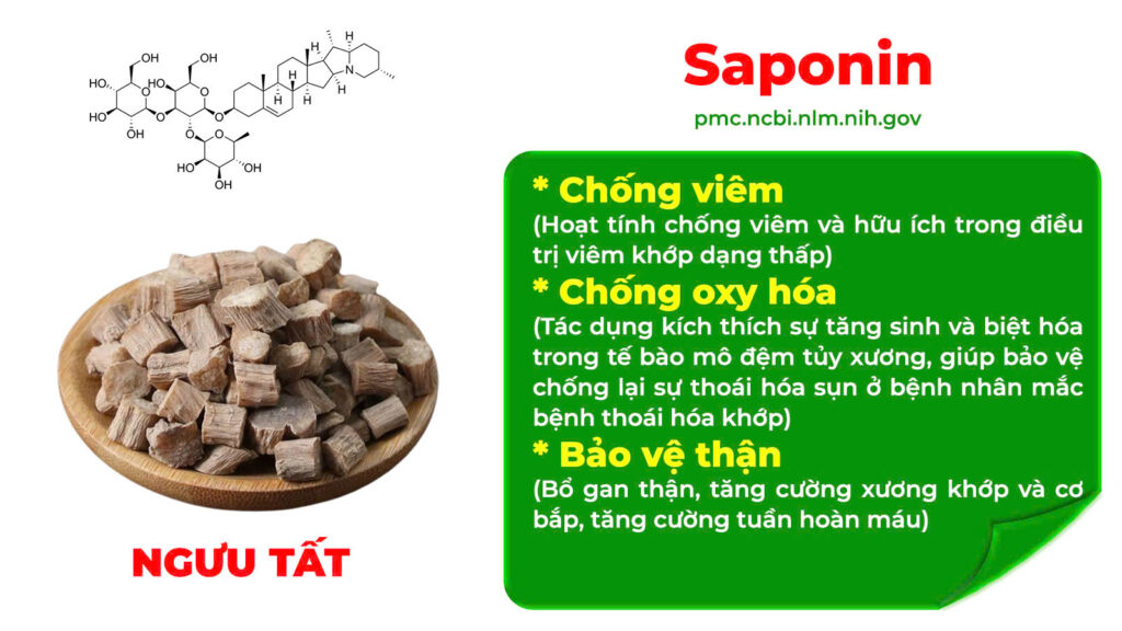 Dược phẩm PQA