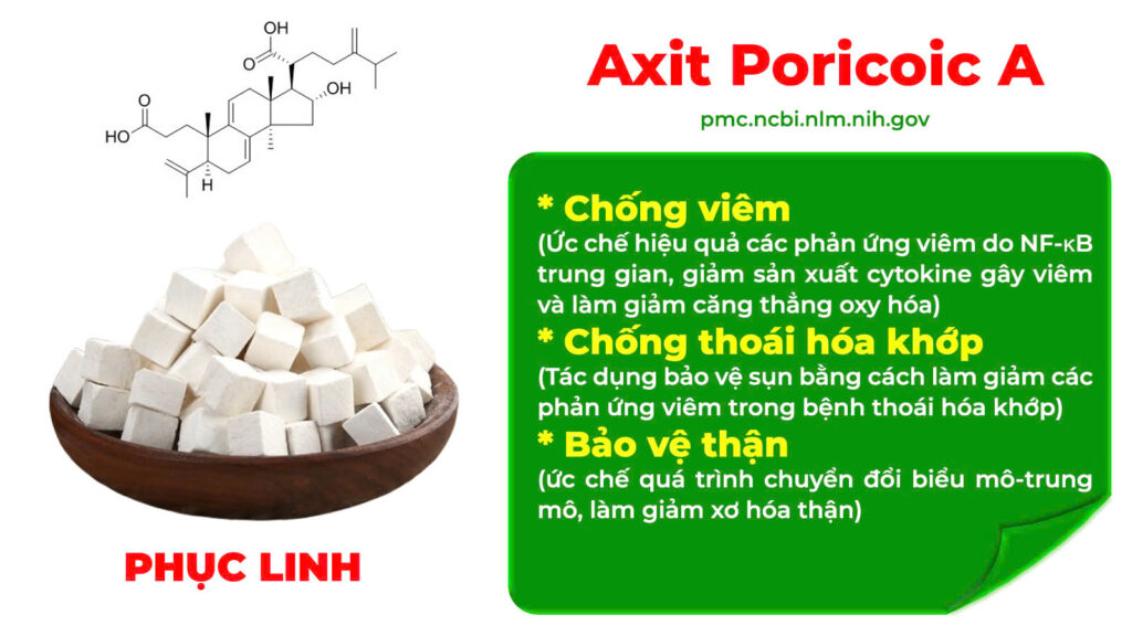 Thành phần hoá học dưỡng cốt ống 