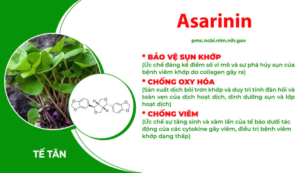 Thành phần hoá học xương khớp cốm