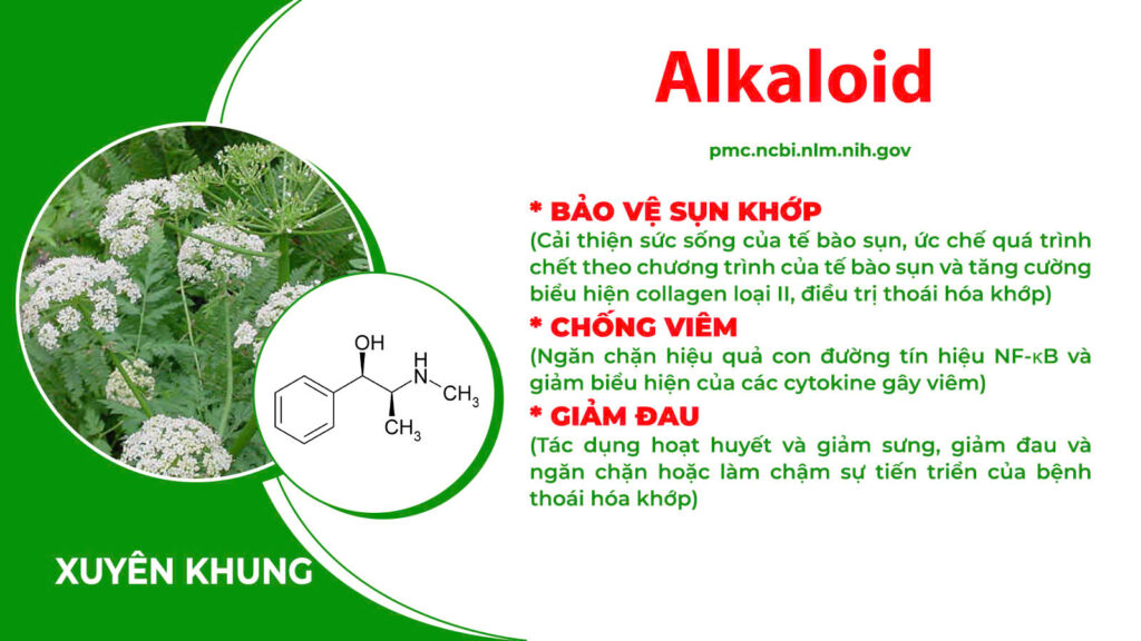 Thành phần hoá học xương khớp cốm