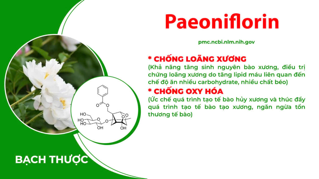 Thành phần hoá học xương khớp cốm