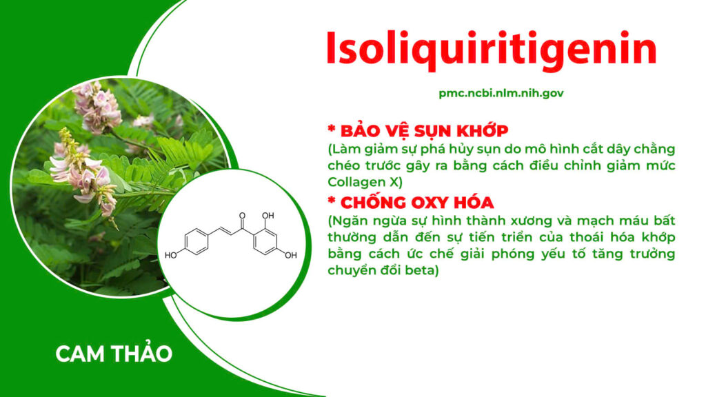 Thành phần hoá học xương khớp cốm