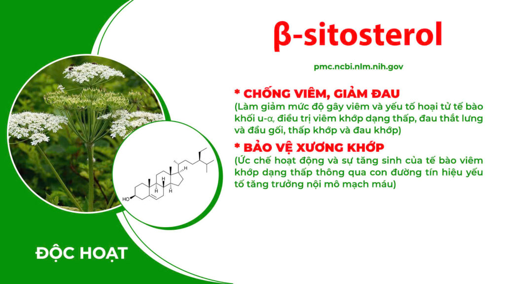 Thành phần hoá học xương khớp cốm