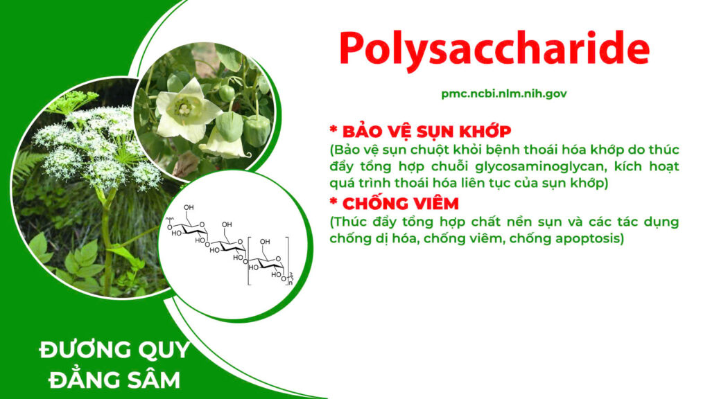 Thành phần hoá học xương khớp cốm