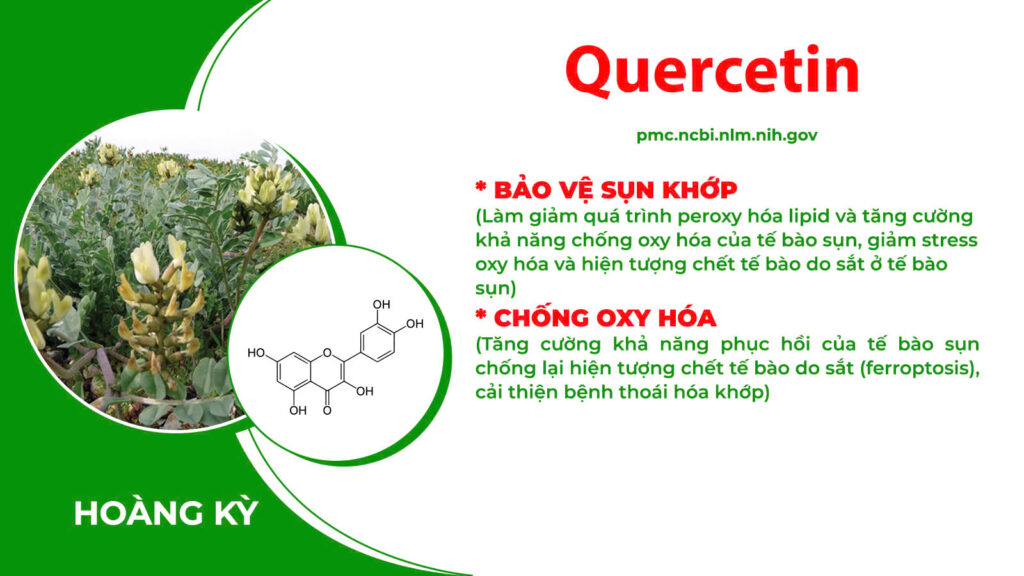 Thành phần hoá học xương khớp cốm