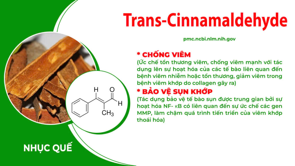 Thành phần hoá học xương khớp cốm