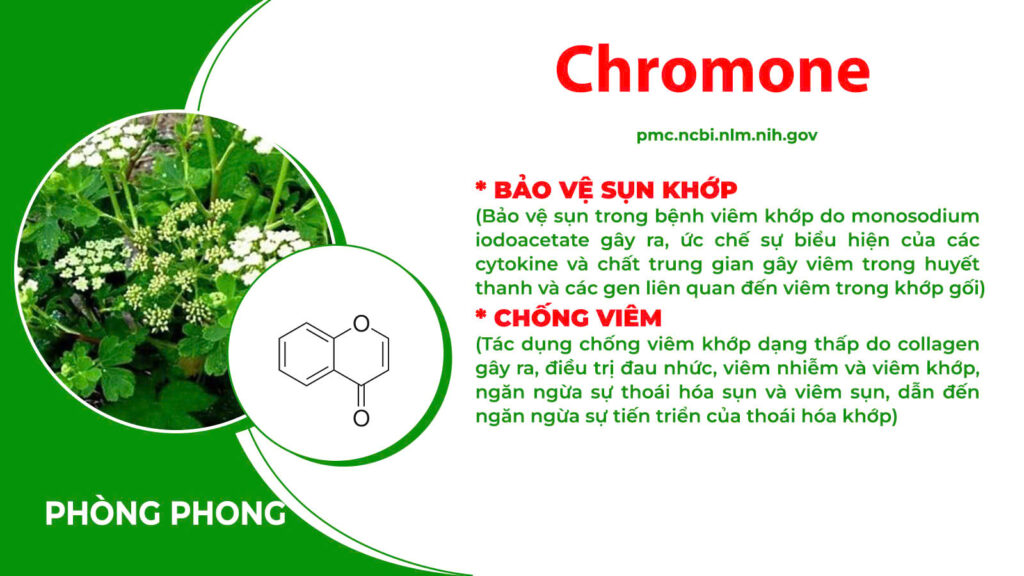 Thành phần hoá học xương khớp cốm