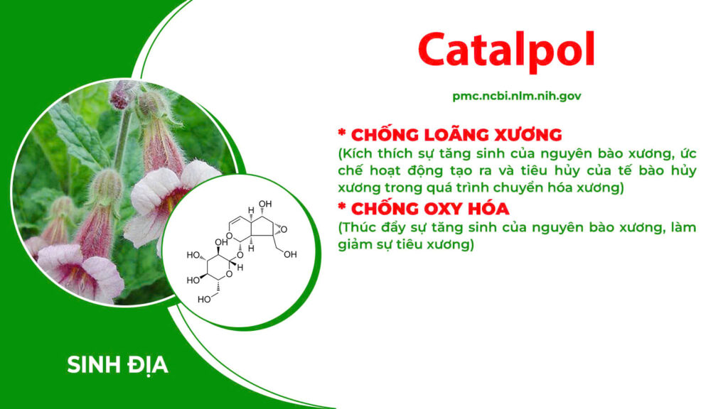 Thành phần hoá học xương khớp cốm