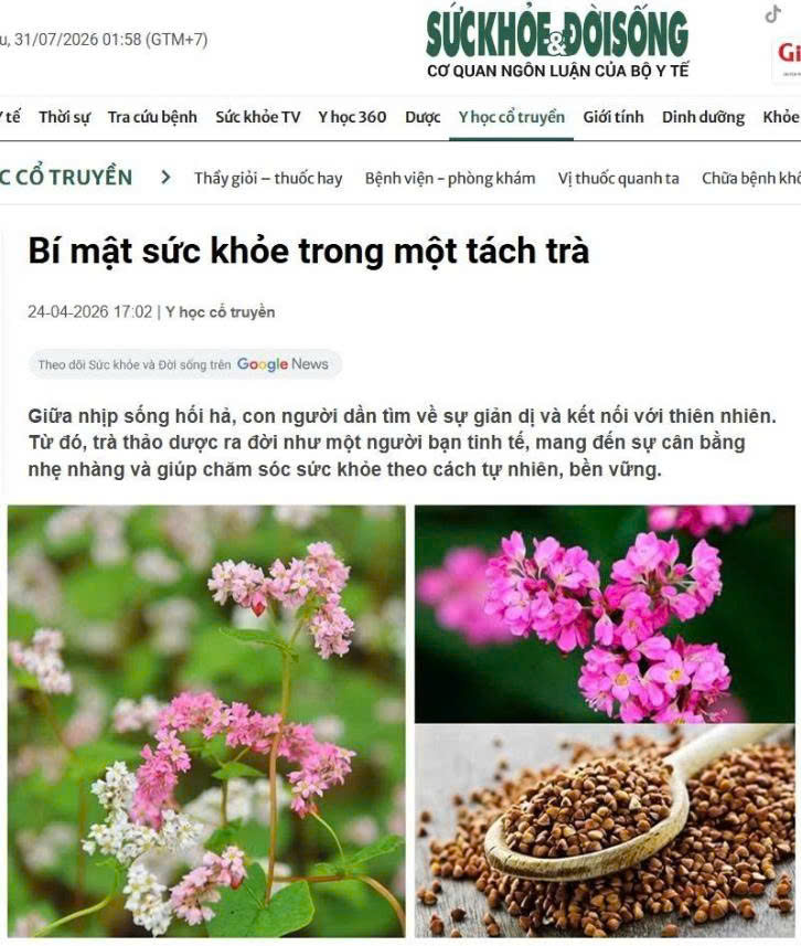 Báo sức khoẻ đời sống trà bình an