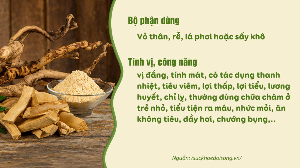 Dược liệu Bách bệnh