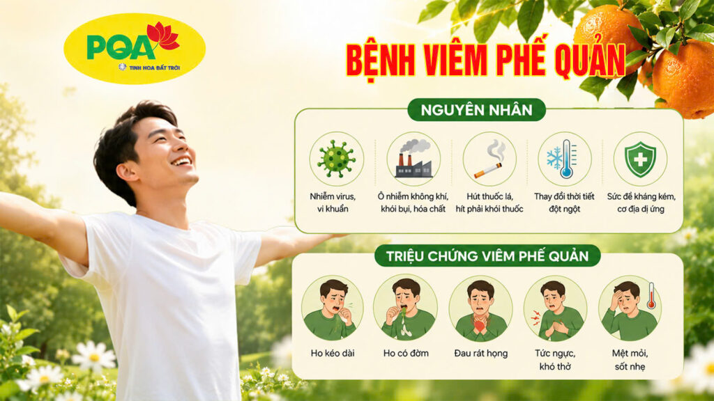 Nguyên nhân và triệu chứng gây nên bệnh viêm phế quản (Nonal Bổ phế)