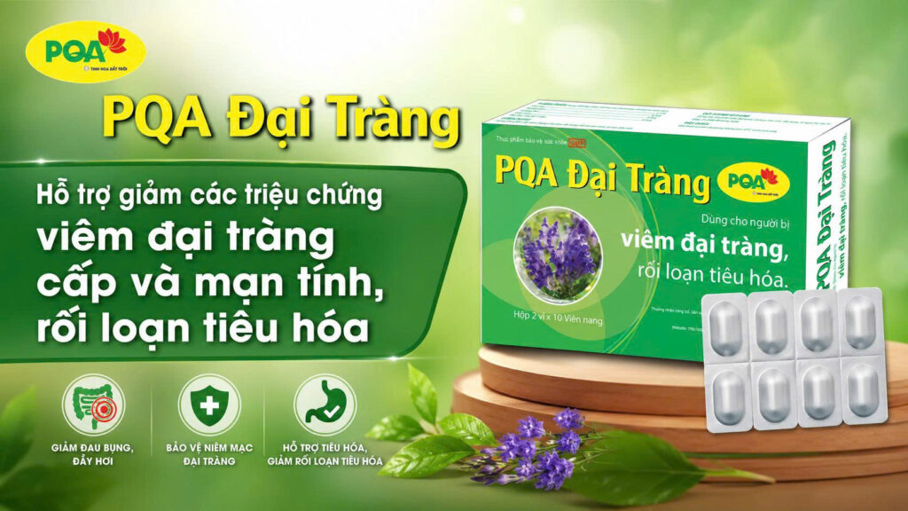 PQA Đại tràng vỉ