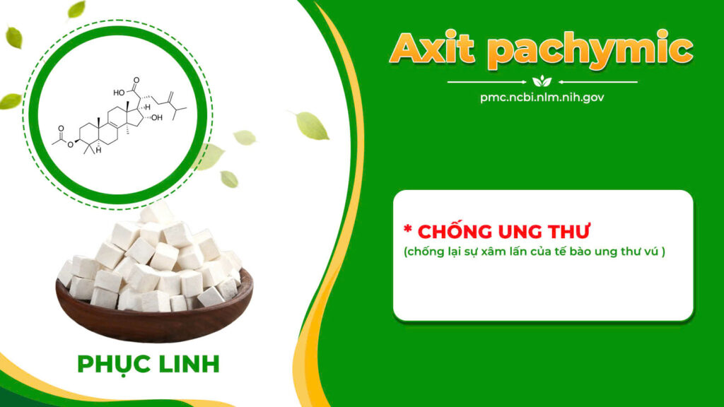 TPHH UT Trinh nữ hoàng cung
