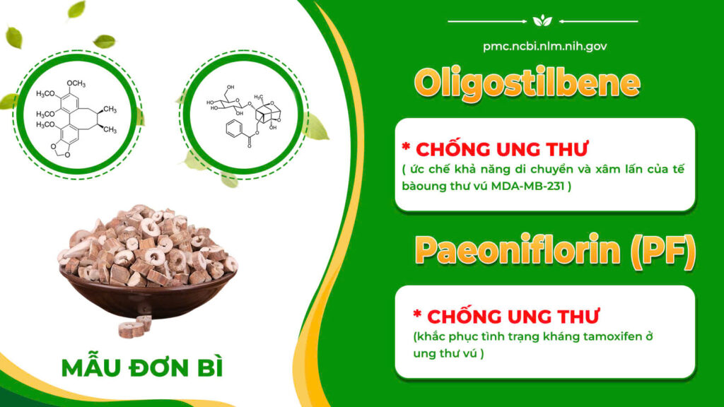 TPHH UT Trinh nữ hoàng cung