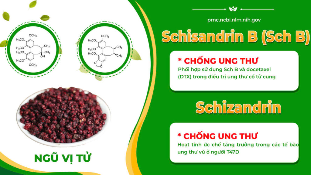 TPHH UT Trinh nữ hoàng cung