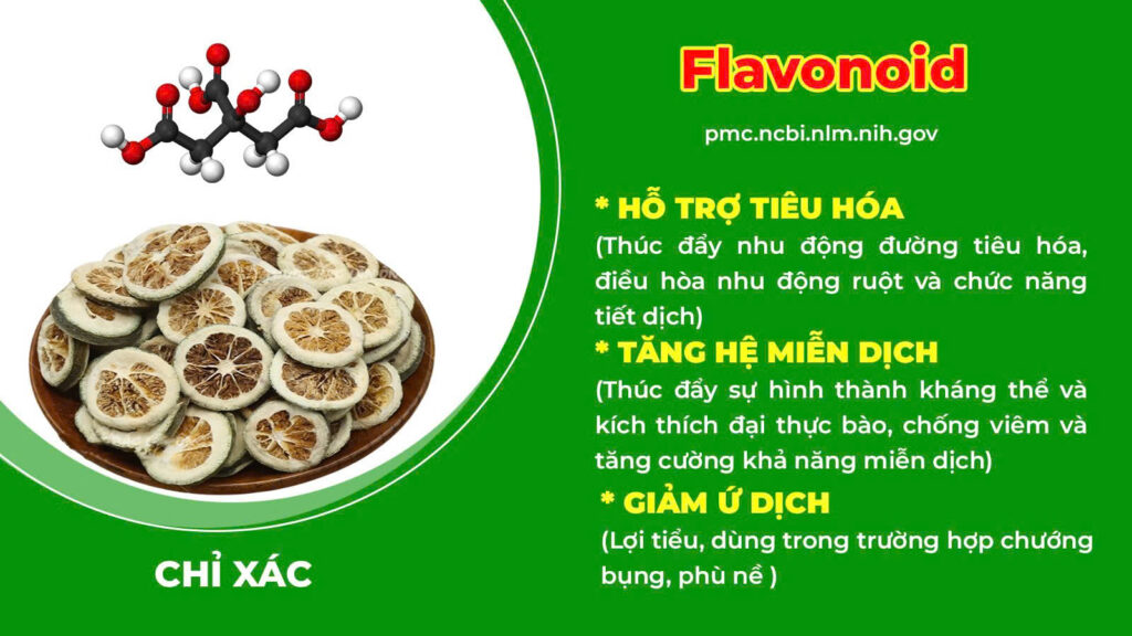 Thành phần hoá học Đại tràng ống 