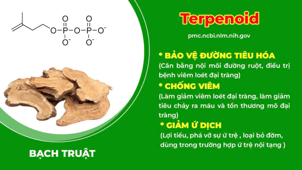 Thành phần hoá học Đại tràng ống 