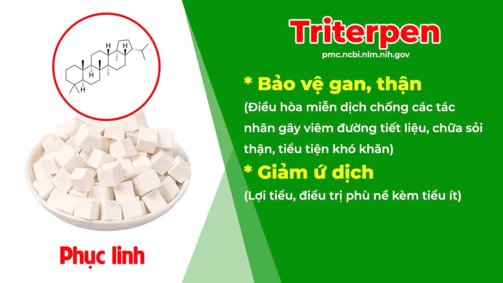 Thành phần hoá học Lợi tiểu 