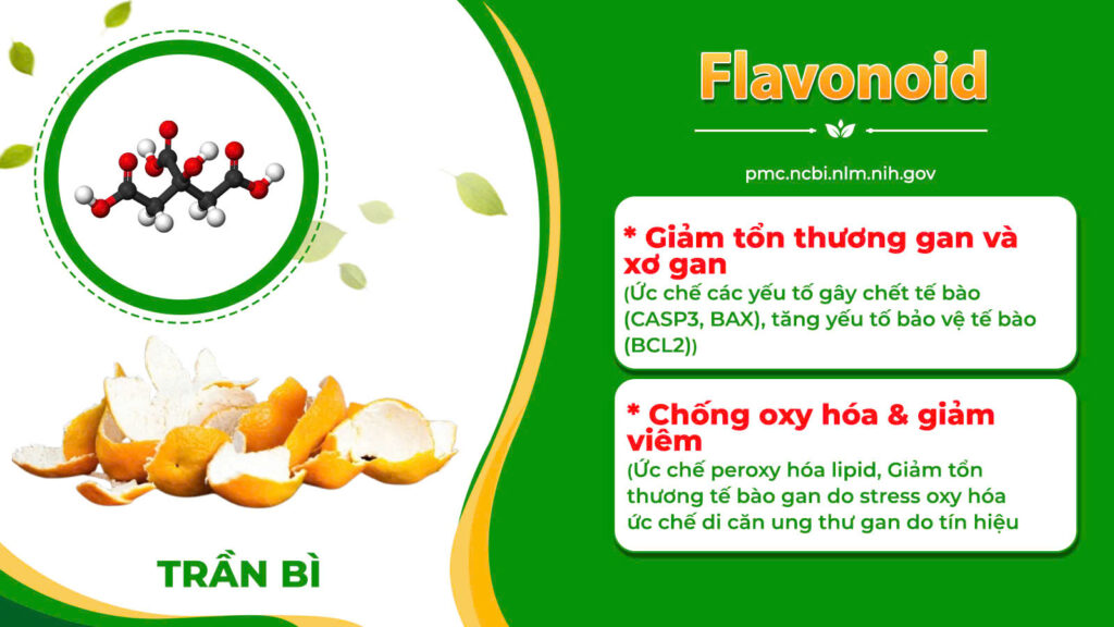 Dược phẩm PQA