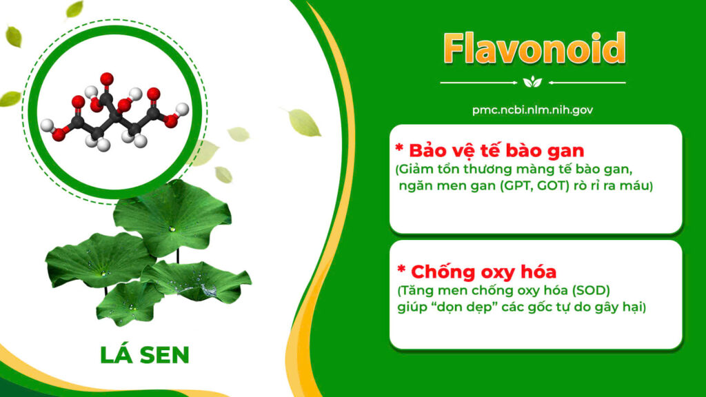 Dược phẩm PQA
