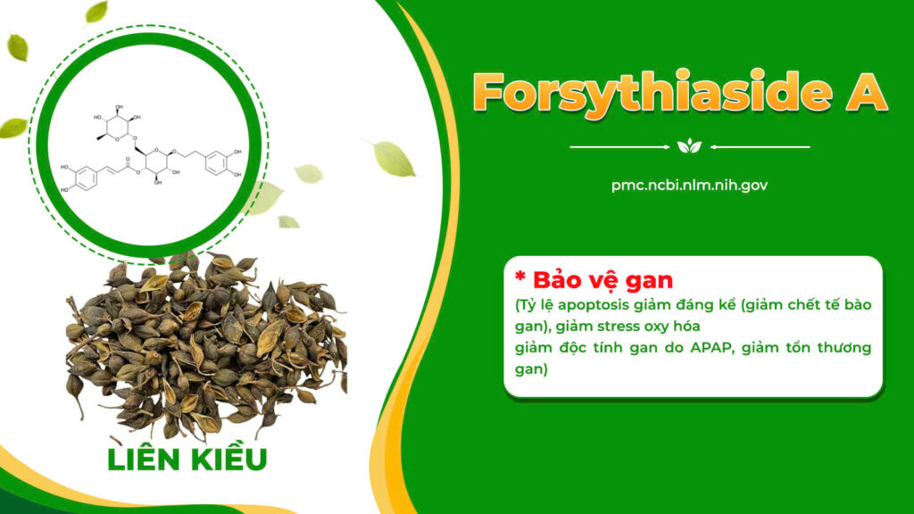 Dược phẩm PQA