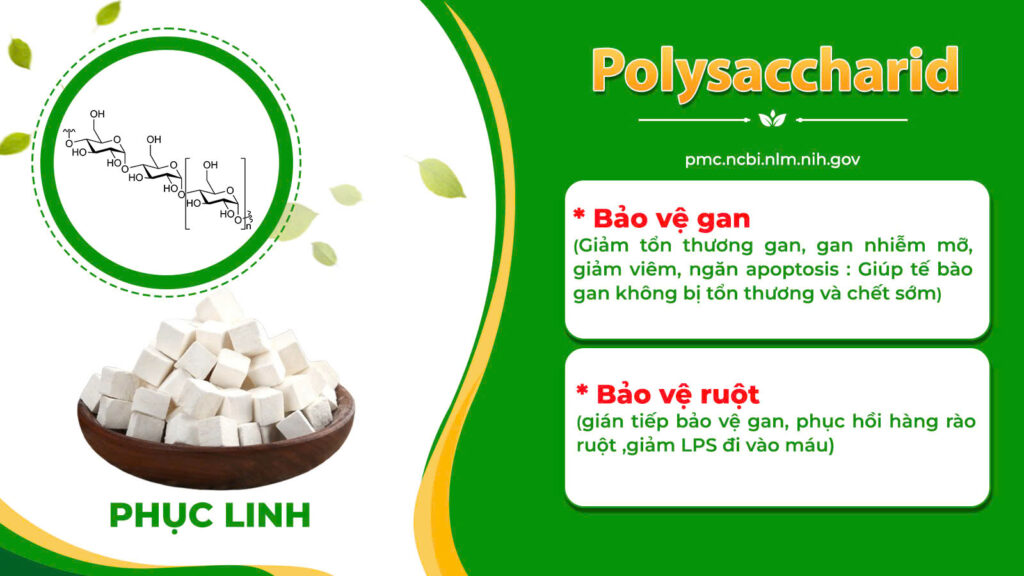 Dược phẩm PQA