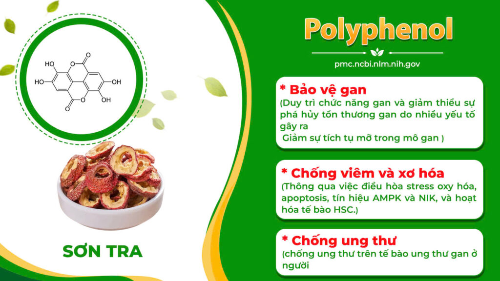 Dược phẩm PQA