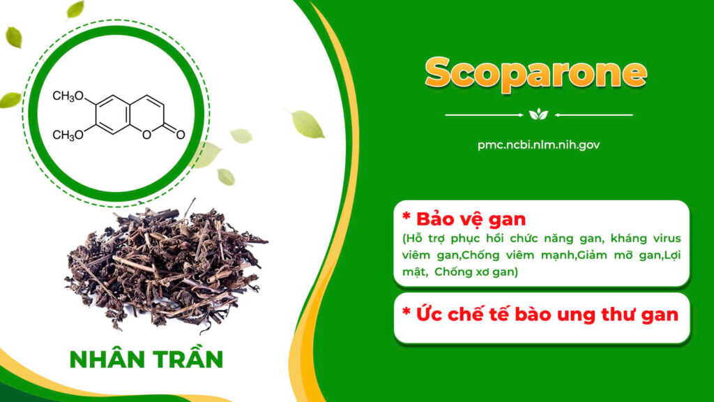 Dược phẩm PQA