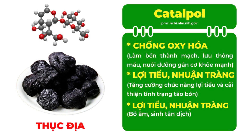 Thành phần hoá học bát tiên trường thọ