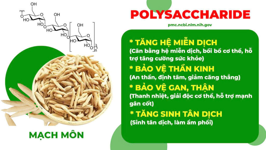 Thành phần hoá học bát tiên trường thọ