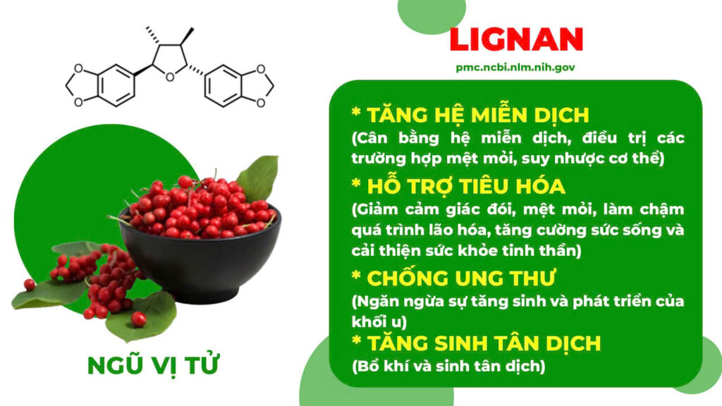 Thành phần hoá học bát tiên trường thọ