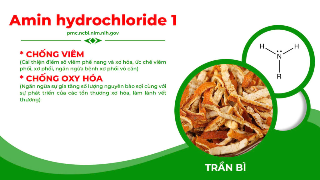 Thành phần hoá học có trong dược liệu 